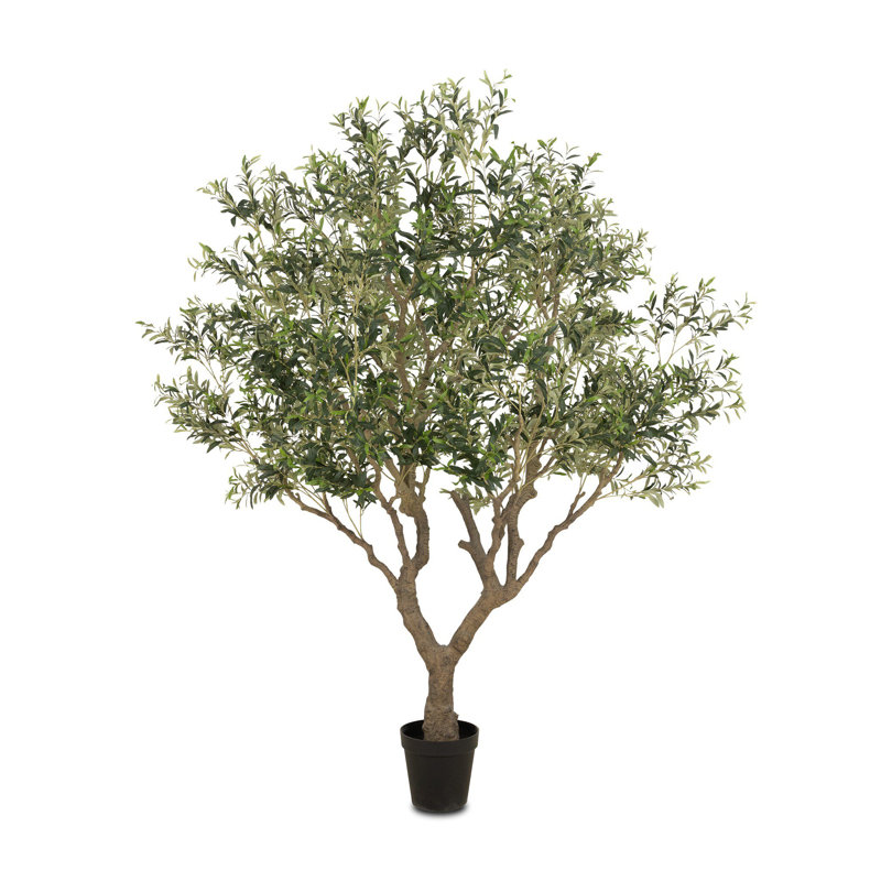 Primrue Faux Olive Tree Wide-Faux Olive Tree Wide-8' | Wayfair